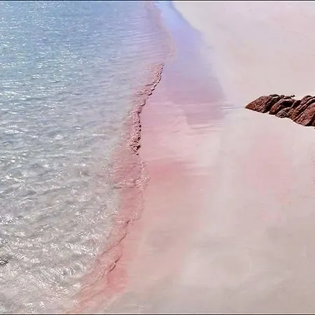 Affittacamere Zahra Πανσιόν