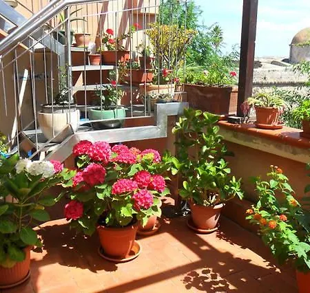 Guest house Affittacamere Zahra